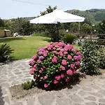 Le Castagne Ischia *