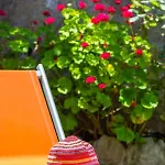 Le Castagne Ischia Appartement Barano dʼIschia